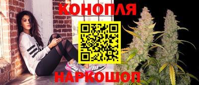 ALPHA PVP Пыть-Ях