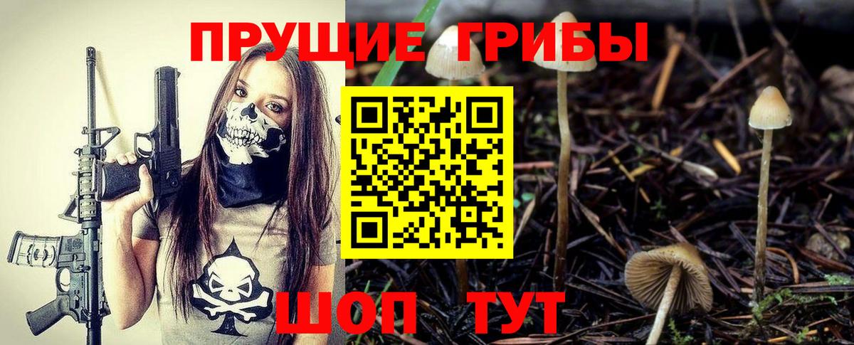хочу   Галлюциногенные грибы Cubensis  Галлюциногенные грибы MAGIC MUSHROOMS  Вход с VPN  Шахты 